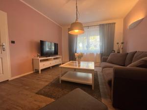 un soggiorno con divano e TV di Wormis Apartment Heideblick bei Luckau a Heideblick