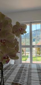 um vaso com flores num quarto com uma janela em Rosi Room em Giucano
