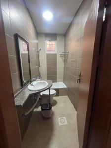 ein Badezimmer mit einem Waschbecken, einem WC und einem Spiegel in der Unterkunft Petra Inn House in Wadi Musa