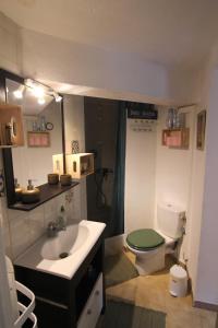 Baño pequeño con aseo y lavamanos en joli studio indépendant avec kitchenette, en Sauveterre