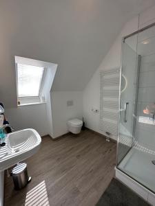 Noord-Sleen的住宿－Galerie23noordsleen，带淋浴、盥洗盆和卫生间的浴室