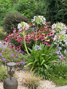 een tuin met kleurrijke bloemen in een tuin bij LE LANTERNE in Villa dʼAlmè