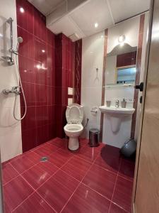 サンダンスキにあるApartments Ivaのバスルーム(トイレ、洗面台付)