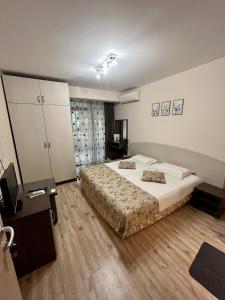a bedroom with a large bed in a room at Room Iva in Sandanski