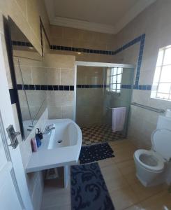 La salle de bains est pourvue d'un lavabo et de toilettes. dans l'établissement 46 Charles Street, Grootfontein Country Estate.Pretoria East, à Tierpoort