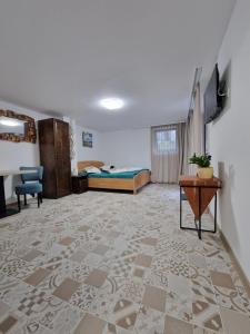 Una habitación grande con una cama, un escritorio y una mesa. en Bran Studio, en Bran