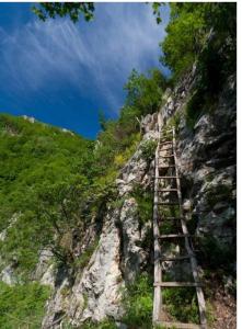 a wooden pathway on the side of a mountain at La Păstrăvărie in Mehadia