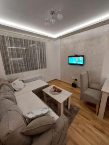 uma sala de estar com um sofá, uma mesa e uma televisão em Apartman Stevanovic Zlatibor em Zlatibor