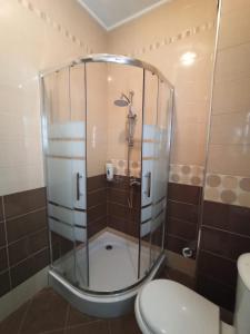a shower in a bathroom with a toilet at Home Sweet Rental in Tirana