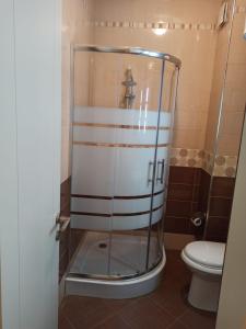 y baño con ducha de cristal y aseo. en Home Sweet Rental en Tirana