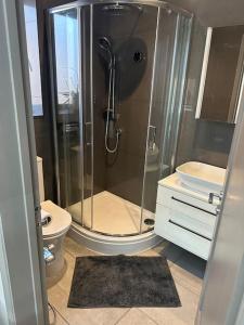 a bathroom with a shower and a toilet at Modern Annex in Kent +10 photos