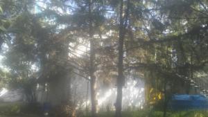 瓜納華托的住宿－Casa de campo, cerca del aeropuerto internacional del Vacío，房子前面有树木的雾 ⁇ 院子