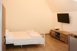 a small room with a bed and a tv at Hotel Marina OASA in Grocka