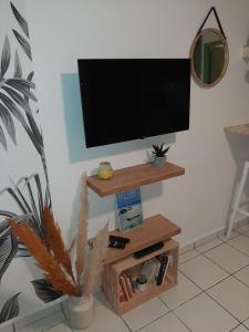 TV a/nebo společenská místnost v ubytování Studio cosy à Bas-du-Fort