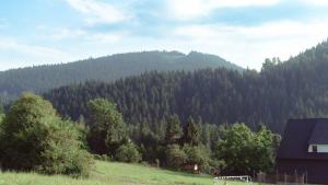una montaña con árboles y una casa en primer plano en Noclegi i Agroturystyka Dorota Rusnak en Poręba Wielka