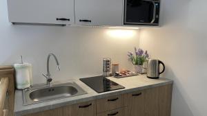 a kitchen with a sink and a counter top at Noclegi i Agroturystyka Dorota Rusnak in Poręba Wielka