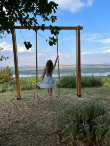 a girl in a dress swinging on a swing at Casa Horizont in Slankamenački Vinogradi