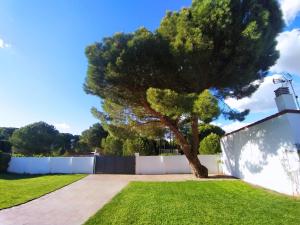 a tree in a yard next to a white fence at Casa rural la luz de Ari in Traspinedo