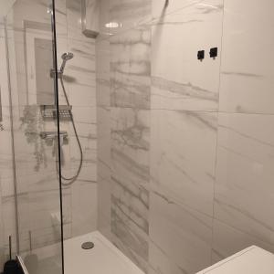 een badkamer met een douche en een glazen deur bij Praktisch und Gut in der Goldstadt in Pforzheim