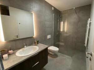 uma casa de banho com um lavatório, um WC e um espelho. em New Selfoss Apartment - Stylish & Modern em Selfoss