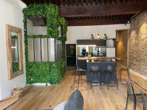 una cucina e un soggiorno con parete verde di Les Balcons de Guignol a Lione