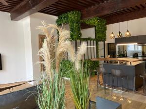 un salon avec des plantes et une cuisine dans l'établissement Les Balcons de Guignol, à Lyon