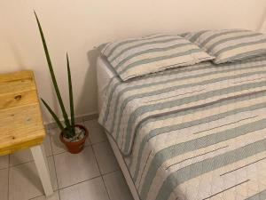 sypialnia z łóżkiem z poduszką i rośliną w obiekcie Flat próximo ao Centro de CG com Wifi rápida w mieście Campina Grande