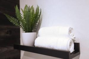 Una estantería negra con toallas y una planta. en Luxury Villa over the Meadow, en Show Low