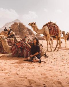 a woman sitting on the sand with a group of camels at Bedouin desert life camp& Jeep tours in Wadi Rum