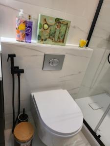 a bathroom with a white toilet and a shelf at Lovely studio -paris in Bagnolet