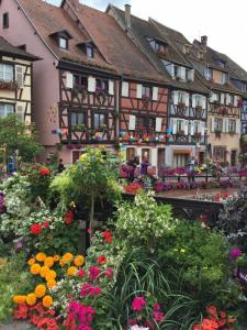 a group of houses with flowers in front of them at Les Appartements de Home Petite Venise in Colmar
