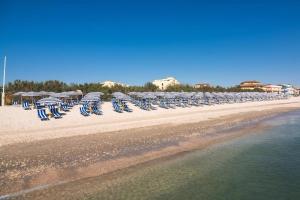 a row of beach chairs and umbrellas on a beach at Residenza MaryLou in Porto SantʼElpidio