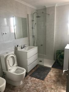 a bathroom with a toilet and a sink and a shower at casa luis in Costa de Antigua +14 photos