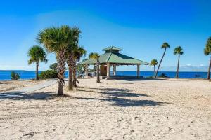 a beach with palm trees and a gazebo at Charming Vintage Haven in Tarpon Springs