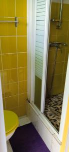 ein Bad mit einer Dusche und einer Glastür in der Unterkunft Tropical cocoon in Kourou