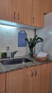 Una cocina o cocineta en Departamento Aristobulo