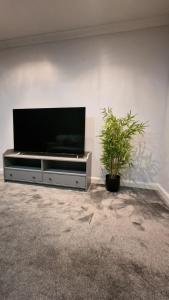 a flat screen tv sitting on a wall next to a plant at London City Stay in London