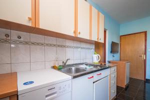 Kuchnia lub aneks kuchenny w obiekcie Apartments by the sea Razanac, Zadar - 5766