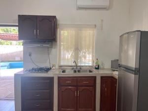 阿拉莫斯的住宿－Flores Condominios Depa Rosa，厨房配有水槽和冰箱
