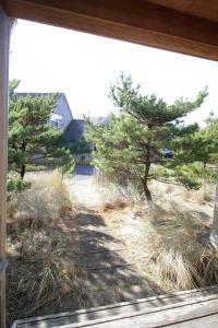 a window view of a yard with trees at Beach Break in Pacific City