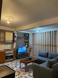 TV a/nebo společenská místnost v ubytování Arta Guesthouse
