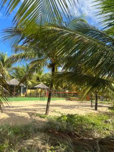 uma palmeira numa praia com um parque infantil em Village ITACIMIRIM em Camaçari