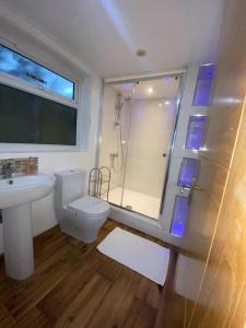 a bathroom with a toilet and a sink and a shower at Studio with own Garden in London