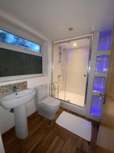 a bathroom with a sink and a toilet and a shower at Studio with own Garden in London