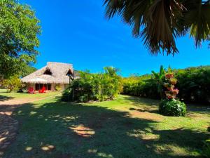 查卡拉的住宿－Cabana para 6 con Alberca a solo 3 min de la Playa de Chacala Nayarit，庭院中茅草屋顶的房子