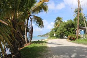 a road leading to a beach with palm trees at Kenridge Residences in Saint James