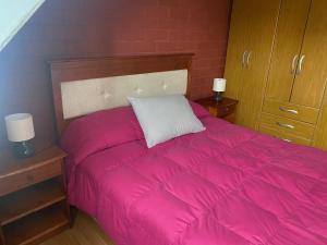 1 dormitorio con 1 cama rosa, 2 mesitas de noche y 2 lámparas en CASA PARA 6 PERSONAS EN TALCA, en Talca