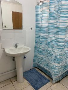 baño con lavabo y cortina de ducha en CASA PARA 6 PERSONAS EN TALCA, en Talca