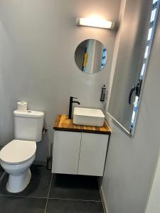 La salle de bains est pourvue de toilettes blanches et d'un miroir. dans l'établissement JEALYA TOURISTIQUES, à Saint-Laurent du Maroni