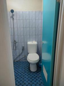 a small bathroom with a toilet and a shower at Homestay Erna Tanjong Tinggi in Pasarbaru